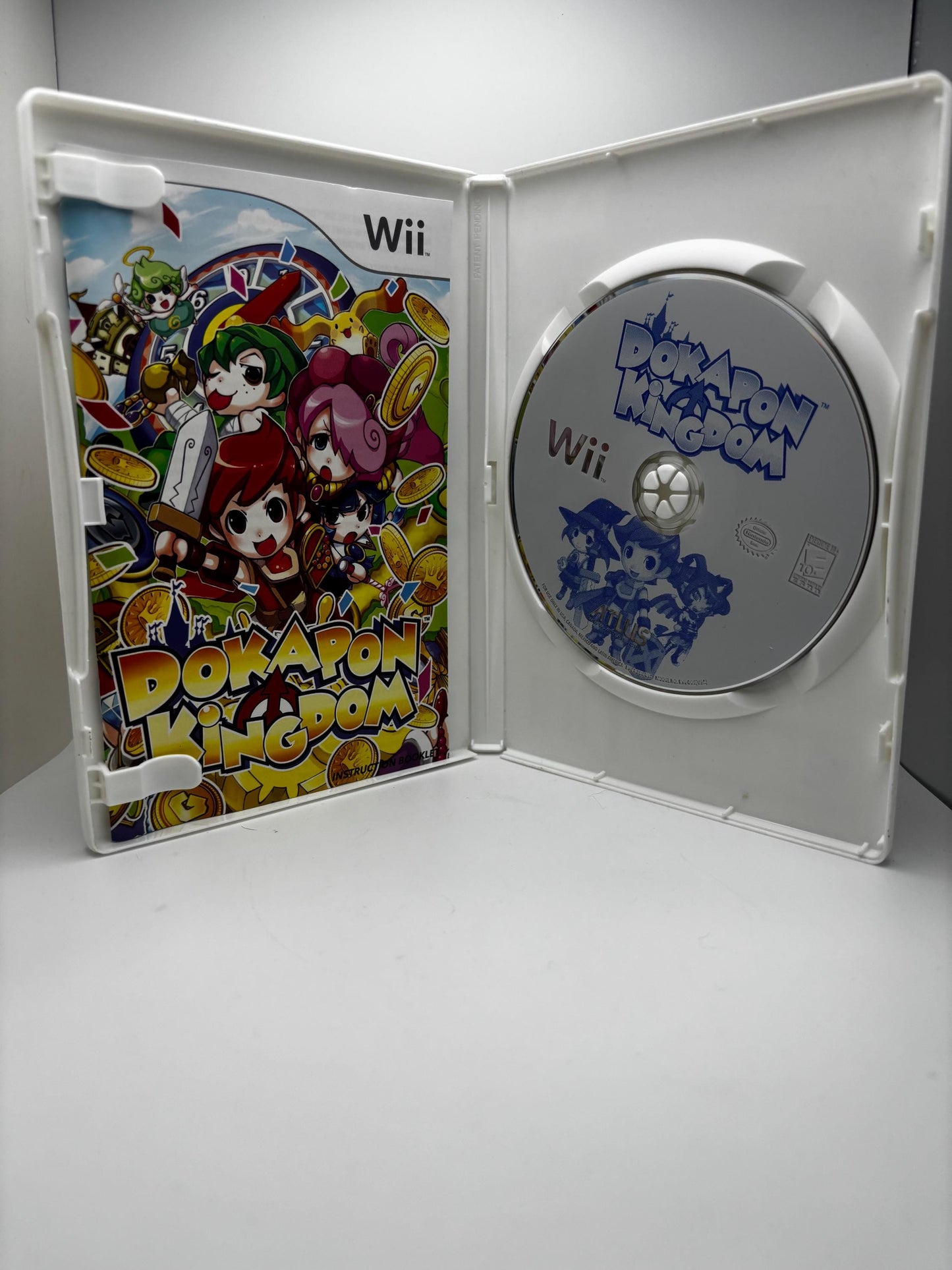 Dokapon Kingdom for Wii CIB